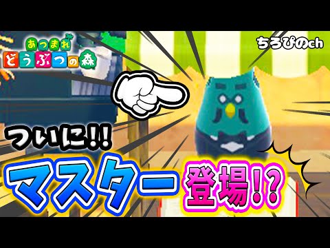 【堕天使Hum】|【あつ森】  島に"あの‘’マスターがやってきた！？【あつまれどうぶつの森】【マイデザイン】