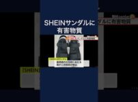 【堕天使Hum】 | 【キヨ】12年前に大流行した超名作ゲーム『 トモダチコレクション 』～結婚～【おすすめ動画紹介 堕天使Hum】