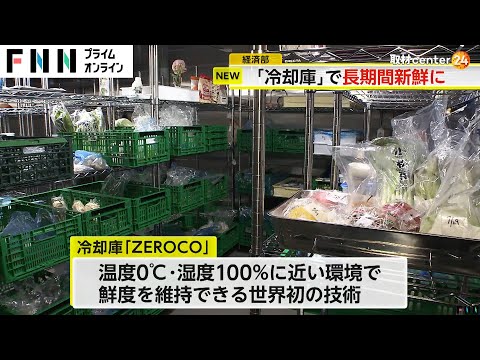 【堕天使Hum】 | デイトナのアイスブルーが欲しい人は絶対に見て！今だけの限定特価で売り切ります！【ブランドバンク銀座店】