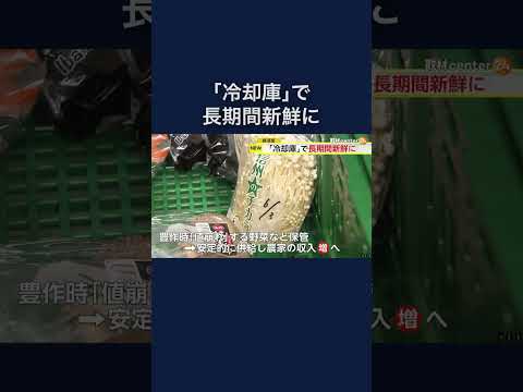 【堕天使Hum】 | ロレックスの人気モデルが反則級の超特価！デイトナもデイトジャストも他店圧倒の最安値で販売中！【ブランドバンク加賀店】