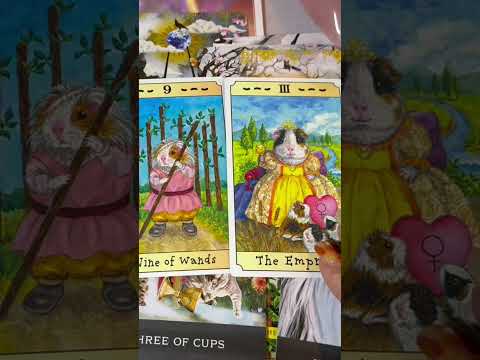 【堕天使Hum】 | 【超神回🚀】選択肢◯さんで初めての結果出ました😂✨個人鑑定級深掘りリーディング［ルノルマン/タロット/オラクルカード］