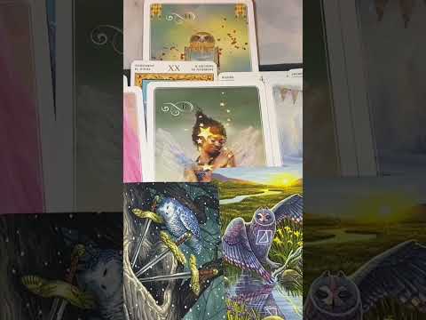 【堕天使Hum】 | 【超神回🚀】選択肢◯さんで初めての結果出ました😂✨個人鑑定級深掘りリーディング［ルノルマン/タロット/オラクルカード］