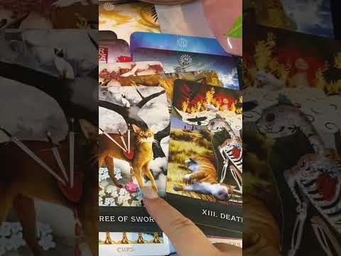 【堕天使Hum】 | 【緊急❤️】ライオンズゲートの神展開がすごすぎた😳🩷今がお辛くても大丈夫です🌻個人鑑定級深掘りリーディング［ルノルマン/タロット/オラクルカード］