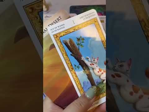 【堕天使Hum】 | 7日以内に起こる事✨#pickacard #オラクルカード #占い