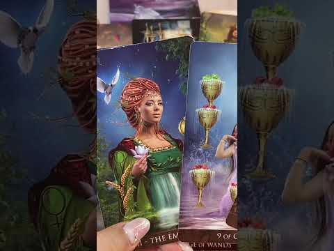 【堕天使Hum】 | 【緊急🚀今すぐ見てください💌】半年後のあなたからの重要メッセージ💗🪽今起きている事には大事な意味が✨個人鑑定級深掘りリーディング［ルノルマンタロット/オラクルカード］