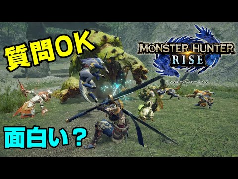【堕天使Hum】 | ゲーム会社のティアリストランキング　#フロムソフトウェア #フロムゲー #死にゲー #ゲームレビュー #ゲーム紹介 #おすすめゲーム #任天堂 #konami #コナミ