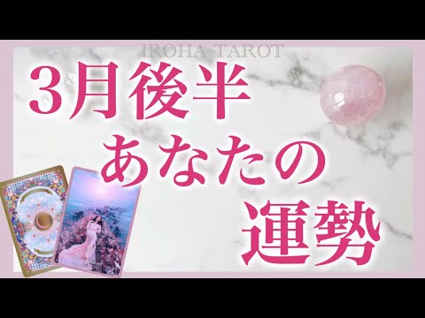 【堕天使Hum】 | 「今」起きている事の意味😳#pickacard #oraclecards #tarot#占い