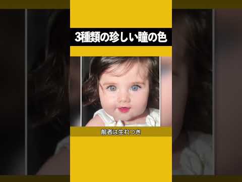 【堕天使Hum】 | 【画力不要】誰でも”確実に映える”イラスト制作技法伝授します...！！！【Ixy・いくしー先生】【イラストメイキング解説/Coloso】