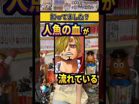 【堕天使Hum】 | 【ワンピースネタバレ】マジで分かっちゃいました。217