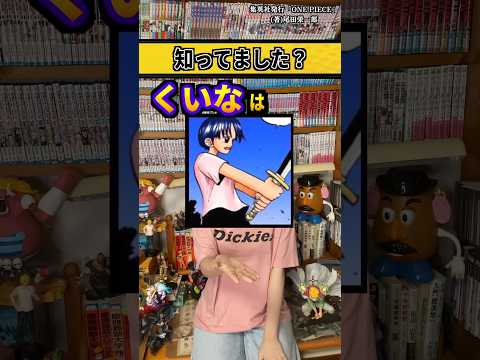 【堕天使Hum】 | 【ONE PIECE 1129話】
