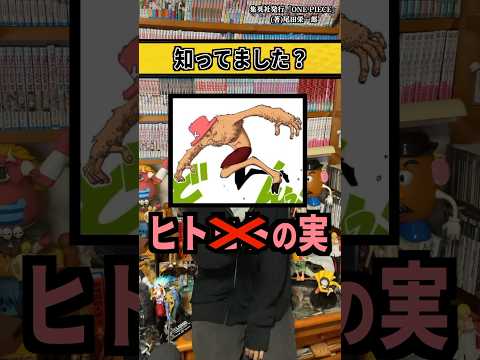 【堕天使Hum】 | 【全てわかる】FF12難解で濃密なドラマストーリー解説