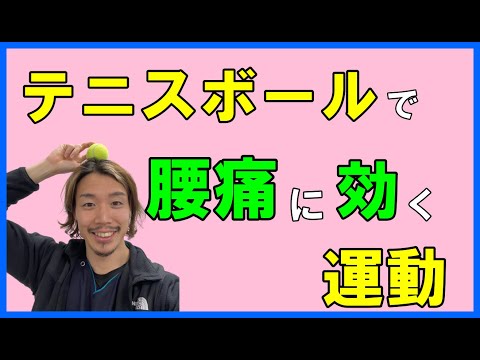 【堕天使Hum】 | 【腰の痛いに！】タオルを使った腰痛改善ストレッチをやってみましょう♪　#ストレッチ#腰痛改善#腰