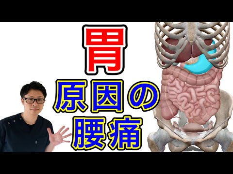 【堕天使Hum】 | 便秘解消で腰痛改善　#整体 #セルフケア #マッサージ #ストレッチ #大和市