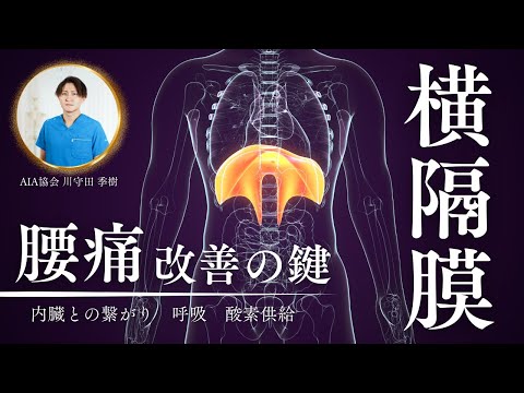 【堕天使Hum】 | 腰痛対策ストレッチ🔥#shorts #short #整体 #小手指 #腰痛 #腰痛改善