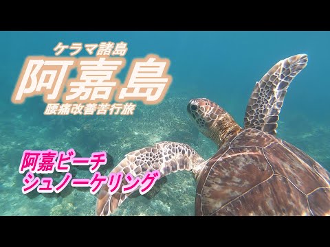 【堕天使Hum】 | 腰痛対策ストレッチ🔥#shorts #short #整体 #小手指 #腰痛 #腰痛改善