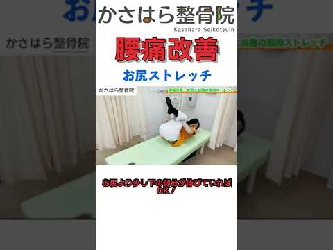 【堕天使Hum】 | 便秘解消で腰痛改善　#整体 #セルフケア #マッサージ #ストレッチ #大和市