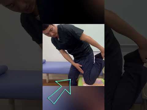 【堕天使Hum】 | 腰痛改善編