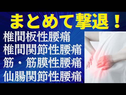 【堕天使Hum】 | 便秘解消で腰痛改善　#整体 #セルフケア #マッサージ #ストレッチ #大和市