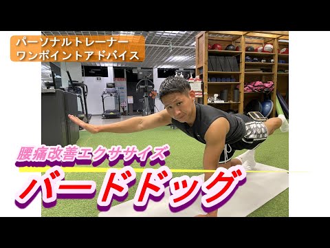 【堕天使Hum】 | #腰痛改善　#腰痛予防　#骨盤矯正 #運動不足解消 #運動初心者