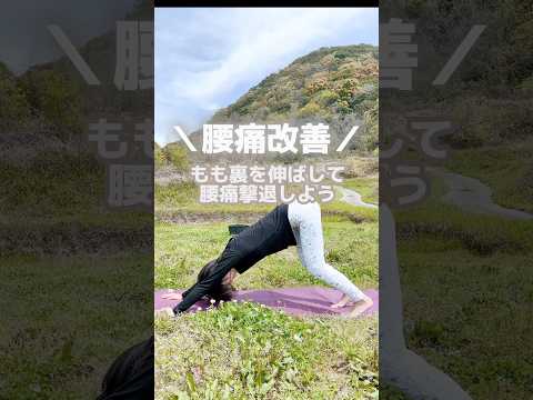 【堕天使Hum】 | #腰痛改善　#腰痛予防　#骨盤矯正 #運動不足解消 #運動初心者