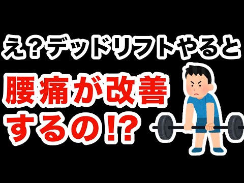 【堕天使Hum】 | 便秘解消で腰痛改善　#整体 #セルフケア #マッサージ #ストレッチ #大和市