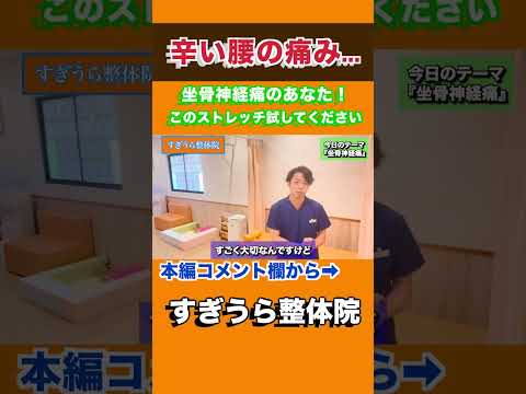 【堕天使Hum】 | 腰痛改善編