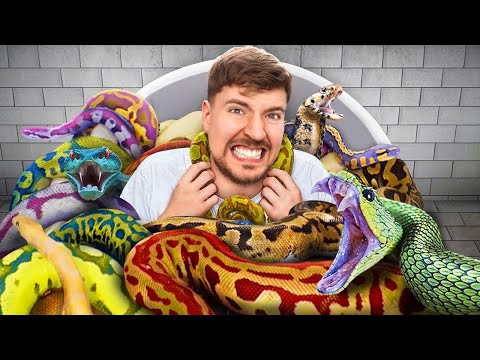 【堕天使Hum】 | I Filled Chandler’s Car With Feastables