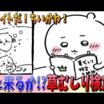 【堕天使Hum】|【ちいかわ考察】労働後も草むしり検定の勉強に励もうと頑張るちいかわだが…【最新話】