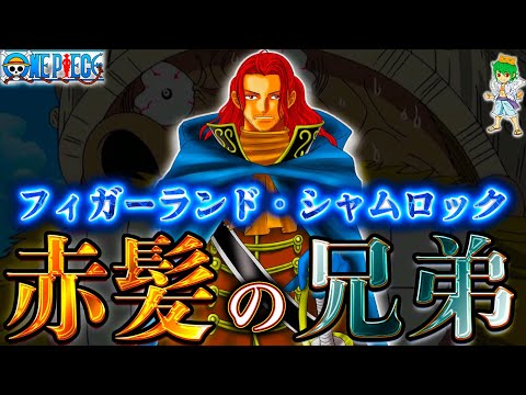 【堕天使Hum】 | 実は未回収だらけ！麦わらの一味に関する重要な謎・伏線27選。※ ネタバレ 注意 【 ONE PIECE 考察 最新 1127話 】
