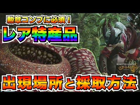 【堕天使Hum】 | 【結論装備】攻撃力強化×5のアーティア弓最強装備を歴戦アルシュベルド専用に組んだら2分台で捕獲が可能！【モンハンワイルズ/MHWilds/弓/Bow】