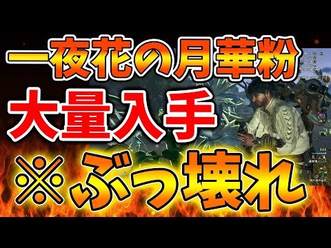 【堕天使Hum】 | 【結論装備】攻撃力強化×5のアーティア弓最強装備を歴戦アルシュベルド専用に組んだら2分台で捕獲が可能！【モンハンワイルズ/MHWilds/弓/Bow】