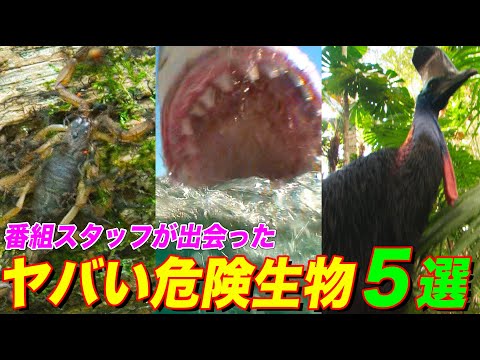 【堕天使Hum】 | 【ショート ドラマ おススメ】　不倫してから平気で嘘をつくようになった... 『旦那のアレ、もらってください』8話 #旦那のアレもらってください #BUMPドラマ #セックスレス #不倫 #ショートドラマ
