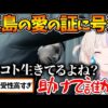 【堕天使Hum】 | 【超絶朗報】Switch 2抽選、最後の希望はまさかのコストコ？！コストコ無限在庫編スタート！に対するゲーマー達の反応集【PS5/Switch/Xbox】
