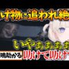 【堕天使Hum】 | 【弟者（おとじゃ）】続きはどうなってしまうの！？『文字化化』【2BRO.】