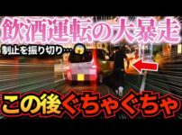 【堕天使Hum】 | 【ドラレコ】イキリ暴走車が爆速ノーブレーキで突っ込んだ結果…数々の悪行プリウスたち！衝撃ドラレコ映像47連発！迷惑運転まとめ【作業用】【交通安全、危険予知トレーニング】
