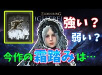 【堕天使Hum】|【エルデンリング ナイトレイン】復讐者ソロで霜踏みを使ってみた！【検証・攻略】