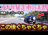 【堕天使Hum】 | なぜか大きさを武器にしないやつ【アニメ】【コント】