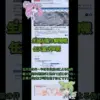 【堕天使Hum】 | 圧倒的スケールだけじゃない！2025年下半期～2026年に発売する注目の新作オープンワールド20選【PS/Switch/Steam】