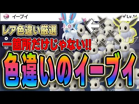 【堕天使Hum】|【2025年 ポケモンZA 色違い】vZA色違いイーブイの厳選場所がいくつか判明！目指せニンフィア！【ポケモンZA 色違い イーブイ 攻略】