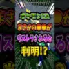 【堕天使Hum】 | 【ポケモンZA】※取扱注意※ 最序盤で誰でも簡単にLv99に出来てしまう方法っ!!【Pokémon LEGENDS Z-A 考察・攻略・実況】