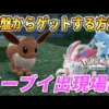 【堕天使Hum】 | 【ポケモンZA】今話題の序盤から出来る全自動色違い厳選のやり方を解説！！！【ポケモンレジェンズZA/Switch2】