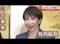 【堕天使Hum】|自民党と国民民主党は、これまでの **「年収103万円の壁」 を引き上げて 178万円にすることで合意しました。