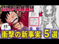 【堕天使Hum】|【ワンピース総集編】公式ワンピースマガジンで判明した超重要情報5選！衝撃の新事実を徹底解説