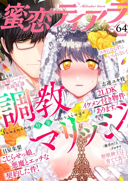 蜜恋ティアラ Vol.64 調教マリッジ