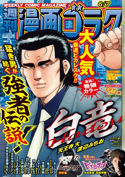 漫画ゴラク 2024年 6/7 号 雑誌
