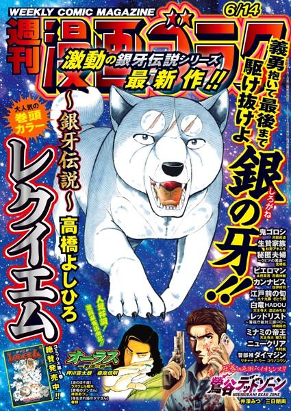 漫画ゴラク 2024年 6/14 号 雑誌