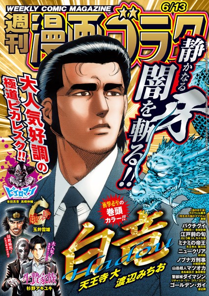 漫画ゴラク 2025年 6/13 号 雑誌