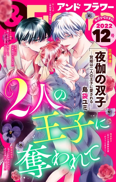 ＆フラワー 2022年12号 雑誌