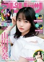 週刊ビッグコミックスピリッツ 2019年52号【デジタル版限定グラビア増量「山田杏奈」】（2019年11月25日発売） 雑誌