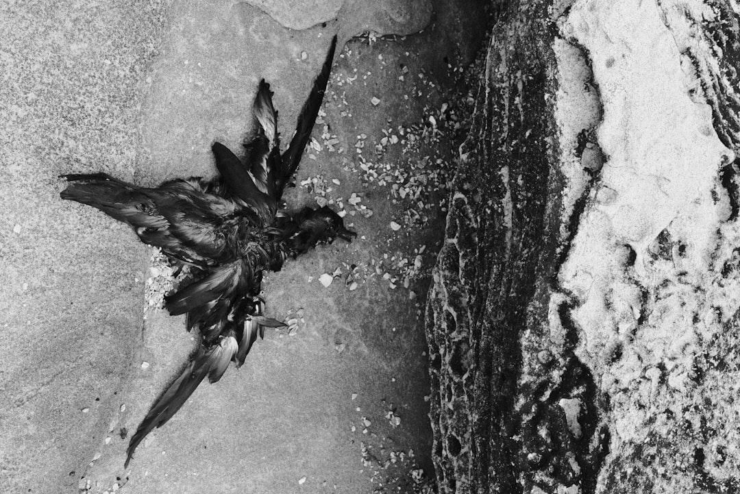 【堕天使Hum】 | 大分県で遺体発見、逮捕された男の真相は?行方不明10代女性との関連を追う 大分県で遺体発見、逮捕された男の真相は?行方不明10代女性との関連を追う